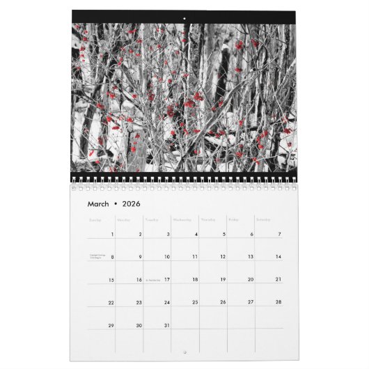 12 mois dans le calendrier Upstate NY (Mar 2026)