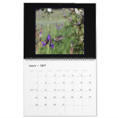 12 mois de calendrier des colibris. (Mar 2027)