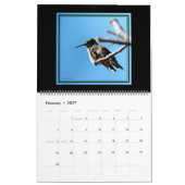 12 mois de calendrier des colibris. (Feb 2027)