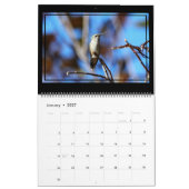 12 mois de calendrier des colibris. (Jan 2027)