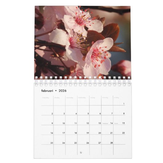 12 mois de calendrier néerlandais/néerlandais (Feb 2026)