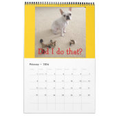 12 mois de M. K, adorable calendrier français! ! (Feb 2026)