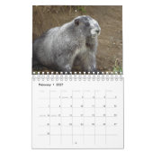 12 mois de marmottes adorables 2016 Calendrier (Feb 2027)