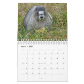 12 mois de marmottes adorables 2016 Calendrier (Mar 2027)