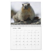 12 mois de marmottes adorables 2016 Calendrier (Jan 2026)