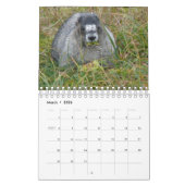 12 mois de marmottes adorables 2016 Calendrier (Mar 2026)