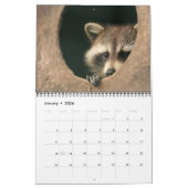 12 mois du calendrier adorable 2016 de ratons (Jan 2026)