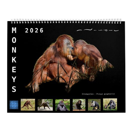 12 month calendar monkeys kalender (Hoes)