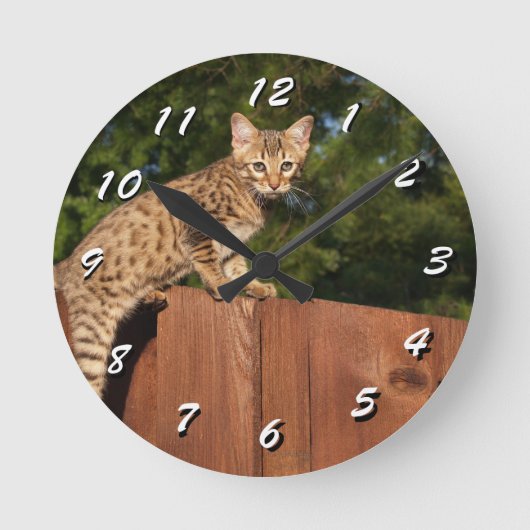 12 Nombre de choix à choisir : horloge de chat (Recto)