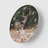 12 Nombre de choix : horloge de cerfs sauvages (Angle)