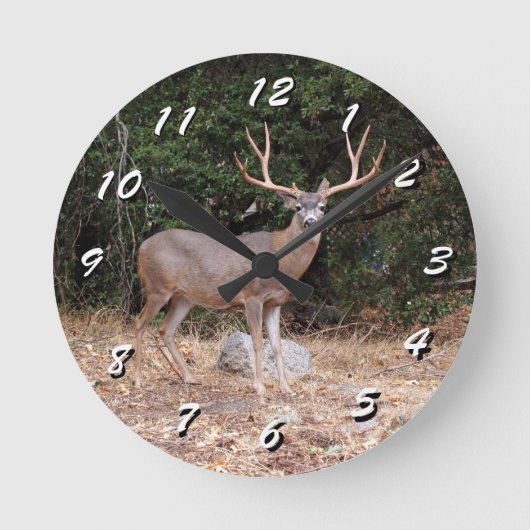 12 Nombre de choix : horloge de cerfs sauvages (Recto)
