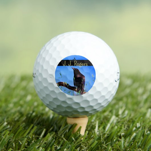 (12-pack) Wildlife Raven Bird Personalized Golfballen (Insitu Shirt)