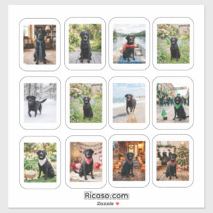 12 Persoonlijke foto's met witte lijst Sticker