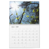 12 Scènes du Calendrier de Washington DC (Mar 2027)