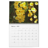 12 Scènes du Calendrier de Washington DC (Feb 2027)