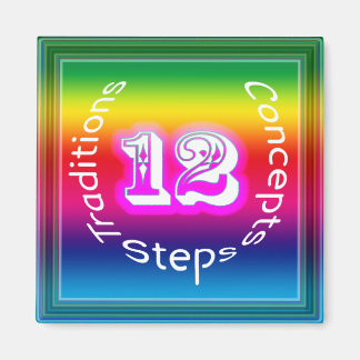 12 stappen magneet