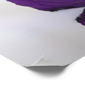 12 Tableau Élégant Rose royal pourpre Tableau de s (Coin)