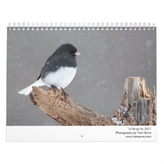 12 vogels voor 2017 (vast) kalender (Hoes)