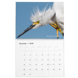 12 Vogels voor 2018 ~ Tom Spine Fotografie Kalender