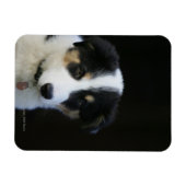 12 weken oude grenskraam magneet (Horizontaal)