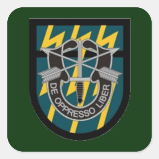 12E SPECIAL FORCES GROUP FLASH/DUI-STICKERS VIERKANTE STICKER