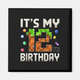 12e verjaardag 12 jaar oude verjaardag jongen game magneet