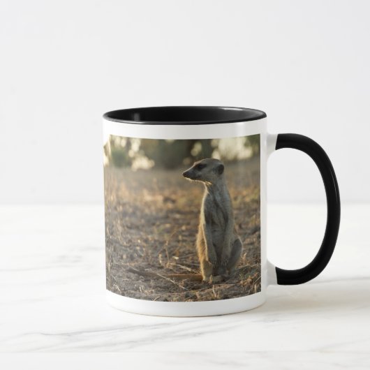12ème tasse d'anniversaire de Zaphod (Droite)