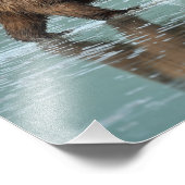 12x12 Photo satinée du grizzli (Coin)