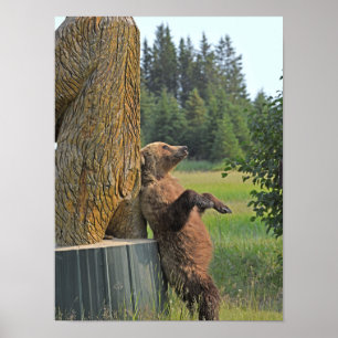 12x16 Poster de l'ours grizzli