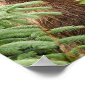 12x16 Poster (Matte) met grizzly beer (Hoek)