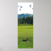 12x36 Poster Papier (Matte) d'orignal (Devant)