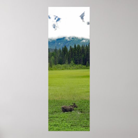 12x36 Poster Papier (Matte) d'orignal (Devant)