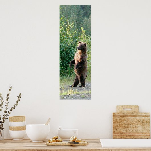 12x36 Poster papier (Matte) met grizzly beer (Keuken)