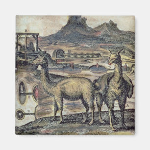 137-0627924 Illustratie uit de geschiedenis van Pe Magneet