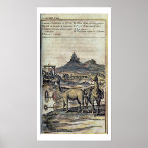 137-0627924 Illustratie uit de geschiedenis van Pe Poster