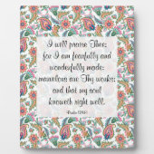 139:14 Plaque Fotoplaat (Voorkant)