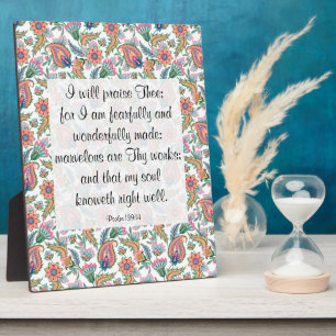 139:14 Plaque Fotoplaat