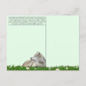 13 augustus: Internationale dag van de wolf Feestdagenkaart (Achterkant)