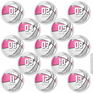 13 autocollants de basketball aux couleurs de l'éq