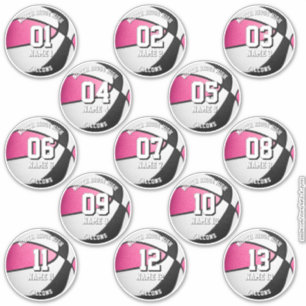 13 autocollants de basketball couleurs d'équipe ro