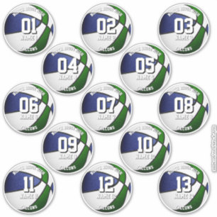 13 basketbalstickers set blauwe groene teamkleuren sticker