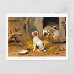 13 bis De Puppies Briefkaart