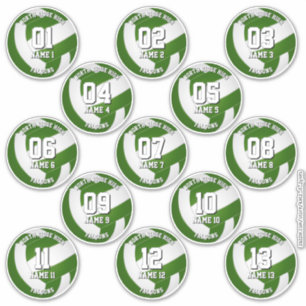 13 groene volleybalstickers één voor elke atleet sticker