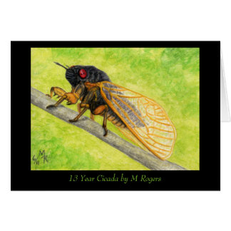 13 jaar Cicada-schilderijen