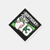 13 Jaar Oud Baseball Party Thema 13e Verjaardag Jo Servet (Hoek)