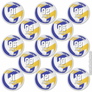 13 kids tieners blauwe gouden volleybalclub kleure sticker