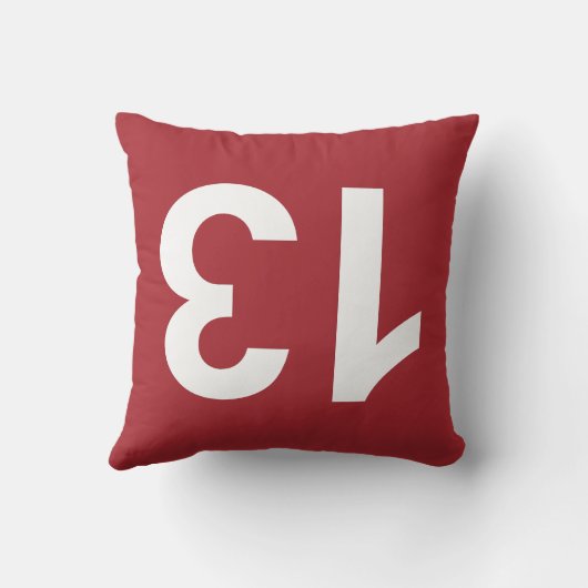 13 KUSSEN (Achterkant)