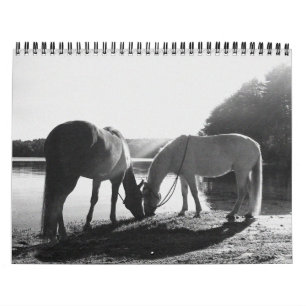 13 maanden 2011 Agenda Kalender