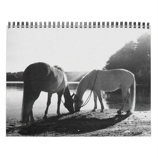 13 maanden 2011 Agenda Kalender (Hoes)