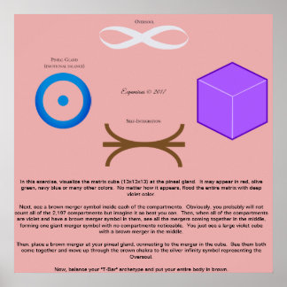 13 Poster de l'exercice de fusion Cubed